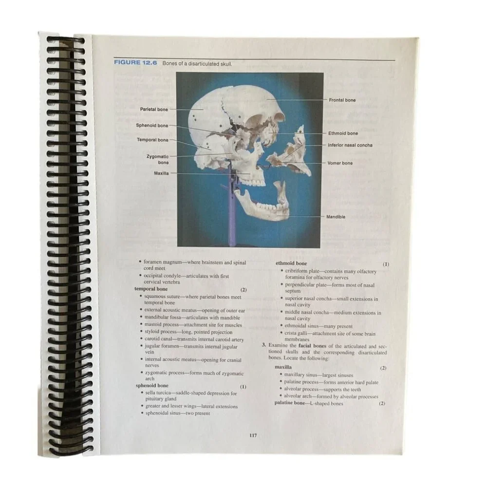 Laboratory Manual for Human Anatomy Physiology 2 Ed Terry R Martin‎ Spiral Bound